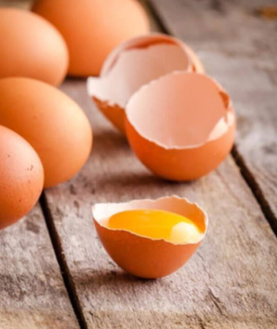 Gastronomia Svizzera e Italiana